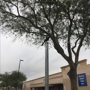 Meet your Posher, Fausto